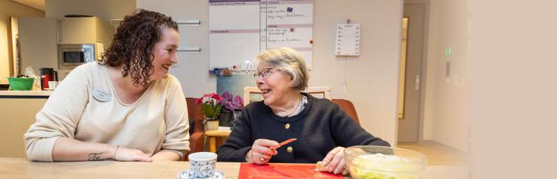 Werken in de ouderenzorg Werken in de ouderenzorg